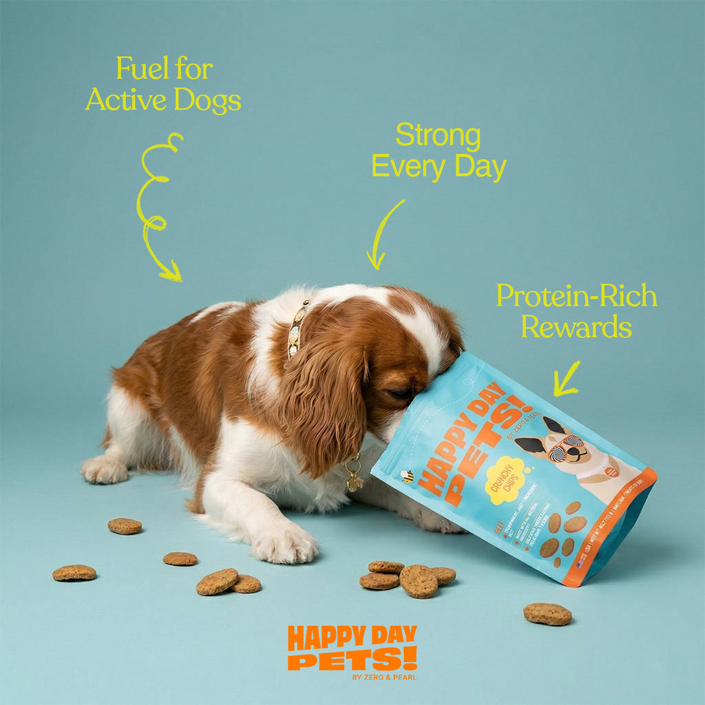 Beef Chips single-ingredient dog treats – Happy Day Pets, photo 9