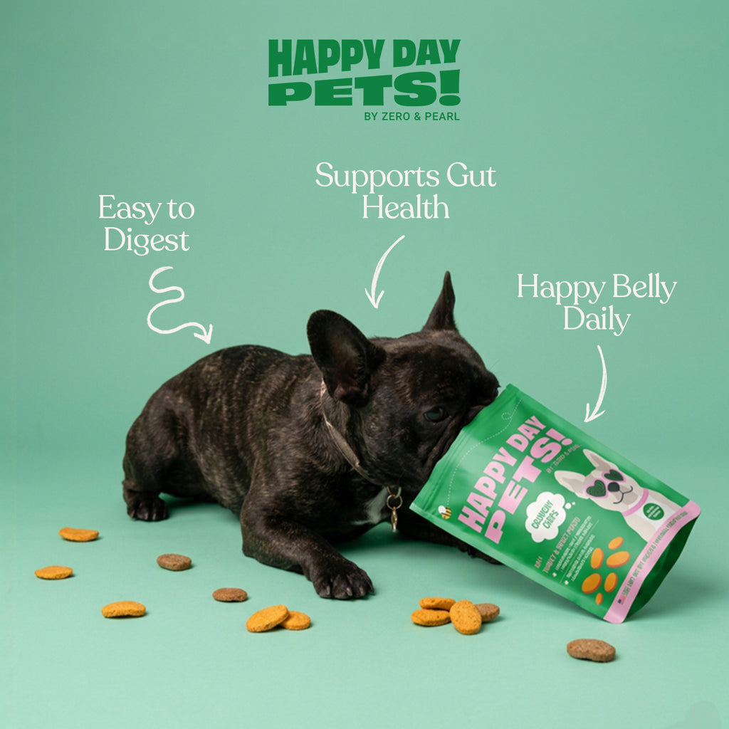 Turkey & Sweet Potato Chips dog treats – Happy Day Pets, photo 7