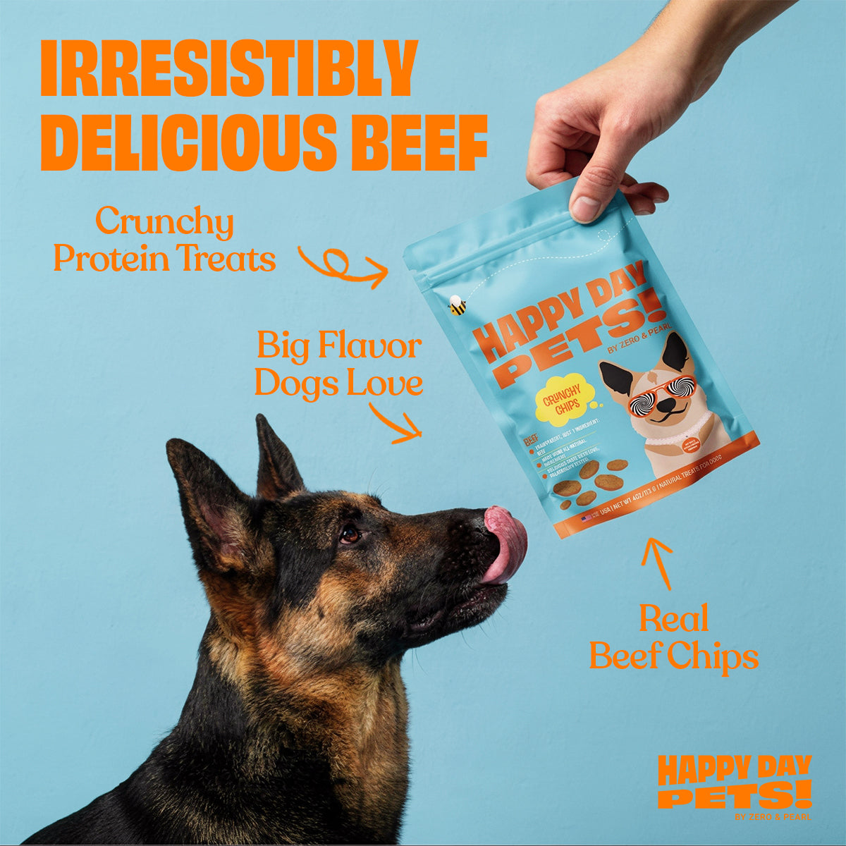 Beef Chips single-ingredient dog treats – Happy Day Pets, photo 5