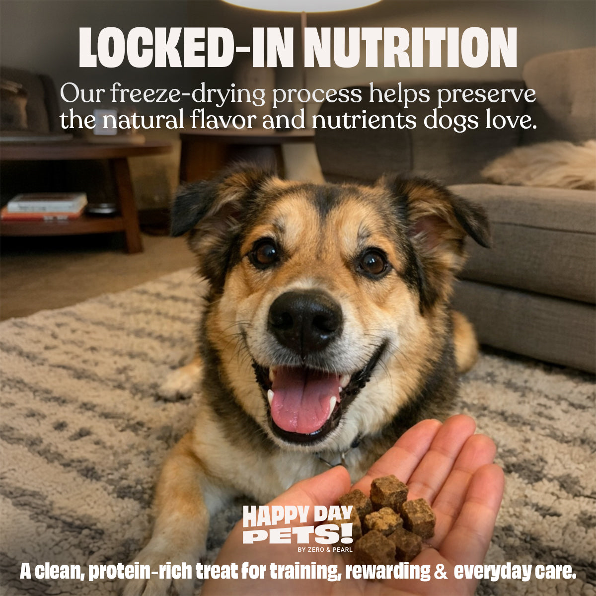 Beef Liver freeze-dried dog treats – Happy Day Pets, photo 8