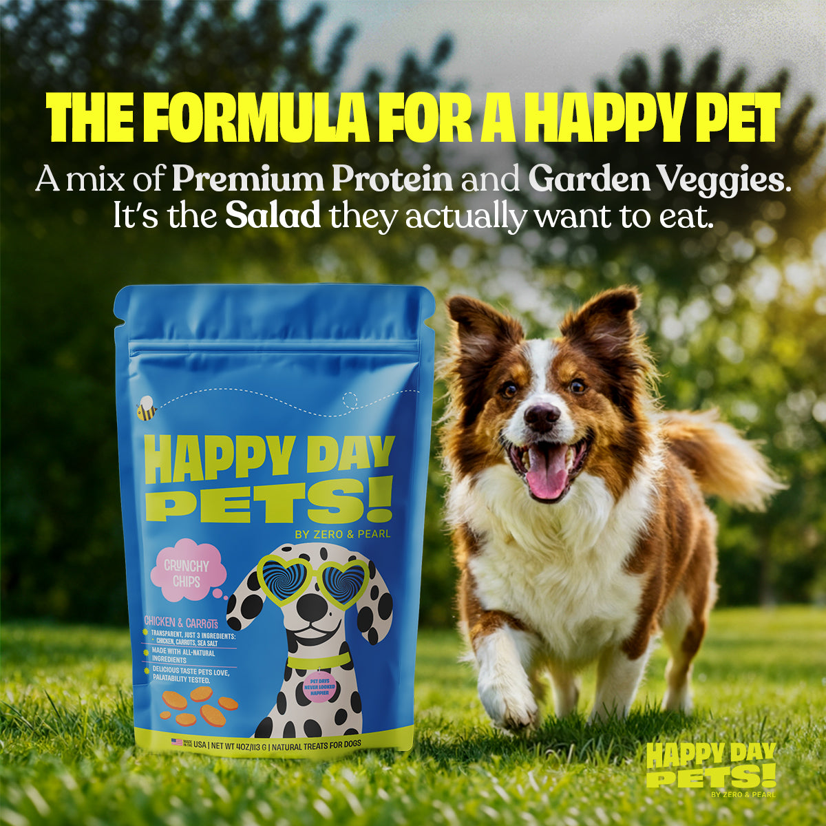 Chicken & Carrot Chips | Happy Day Pets