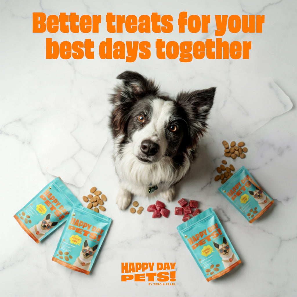 Beef Chips single-ingredient dog treats – Happy Day Pets, photo 8