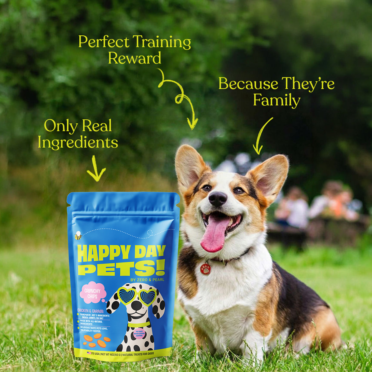 The Full Pack – All 6 Flavors