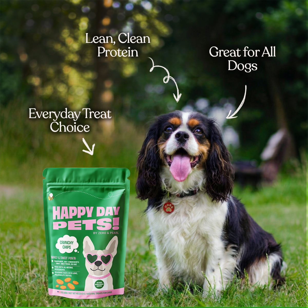 Turkey & Sweet Potato Chips dog treats – Happy Day Pets, photo 9